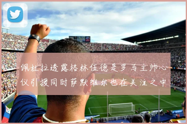佩杜拉透露格林伍德是罗马主帅心仪引援同时萨默维尔也在关注之中